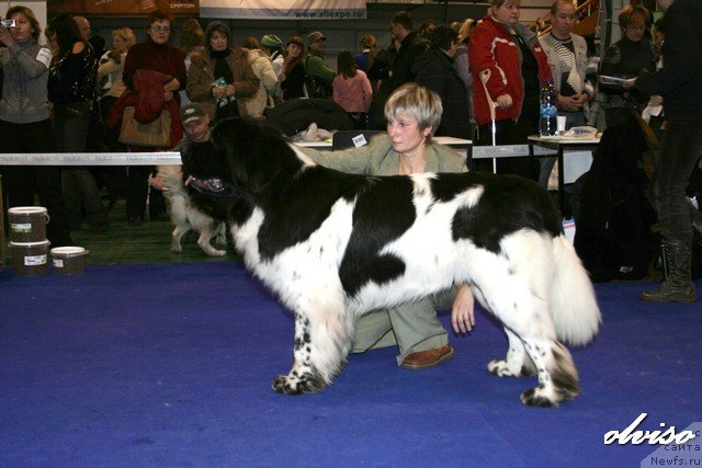 Фотография № 52419