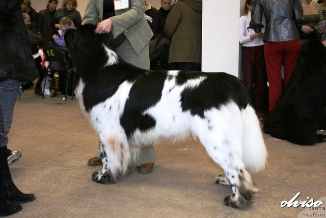 Фотография № 52422