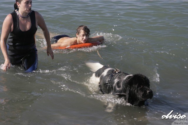 Фотография № 52431