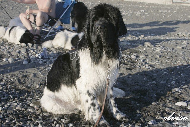 Фотография № 52433