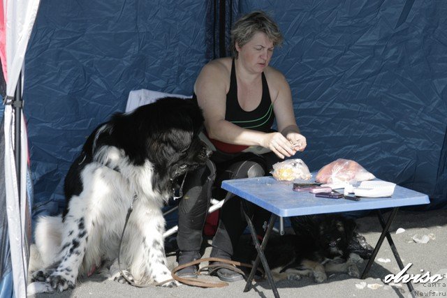 Фотография № 52435