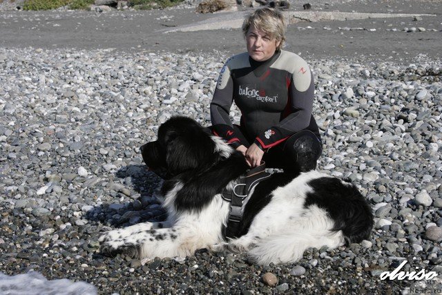 Фотография № 52437