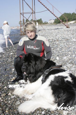 Фотография № 52438