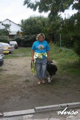 Фотография № 52441