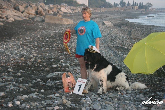 Фотография № 52445