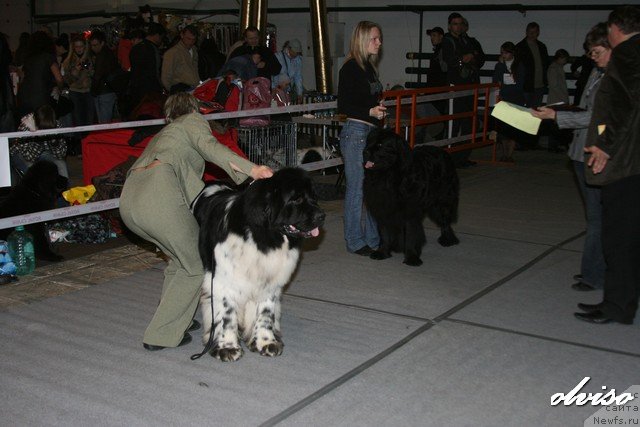 Фотография № 52448