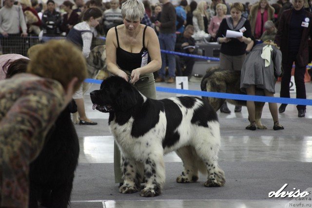 Фотография № 52450