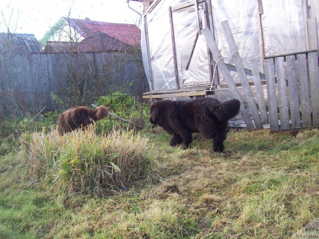 Фотография № 52456