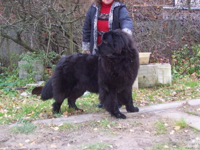 Фотография № 52457