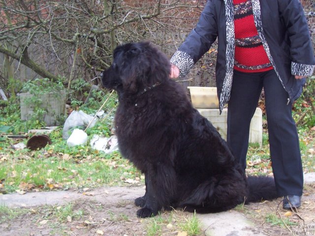 Фотография № 52459