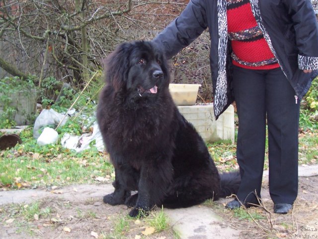 Фотография № 52460