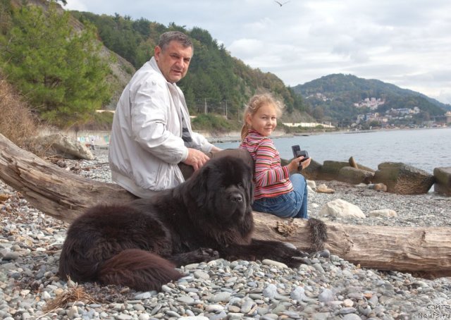 Фотография № 52477