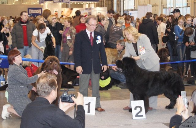 Фотография № 52501