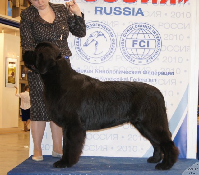 Фотография № 52502