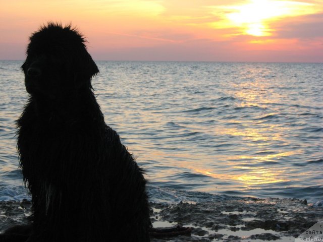 Фотография № 52507