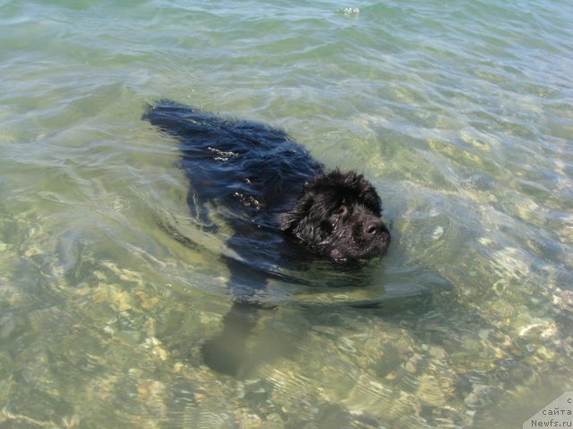 Фотография № 52508