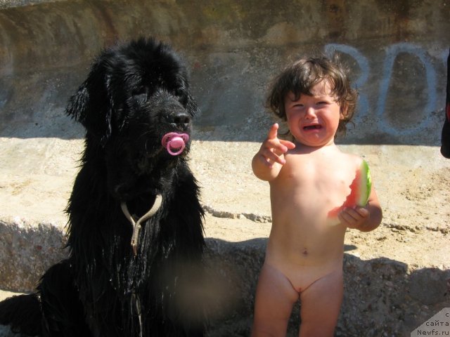 Фотография № 52509