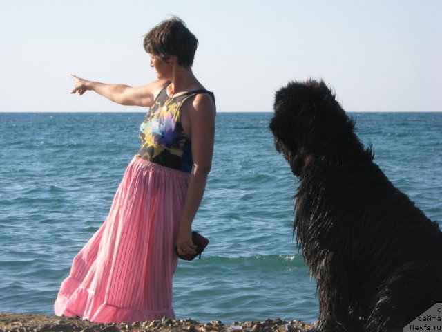 Фотография № 52515