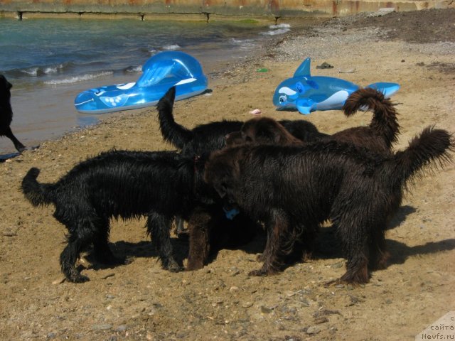 Фотография № 52516