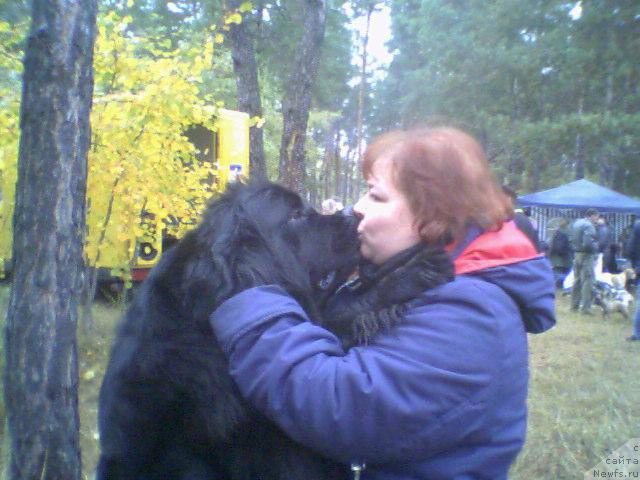 Фото: ньюфаундленд Viola (Виола), Nataliya SHevchuk (Наталия Шевчук)