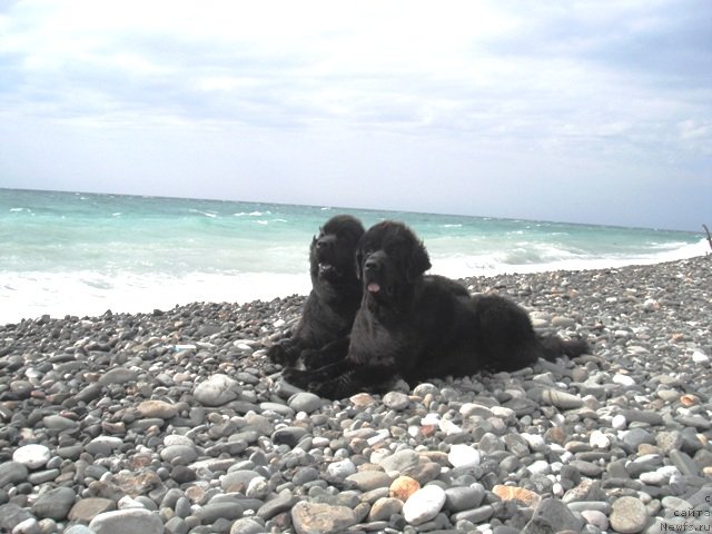 Фотография № 52521