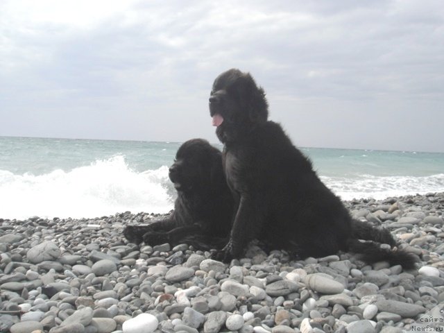 Фотография № 52540