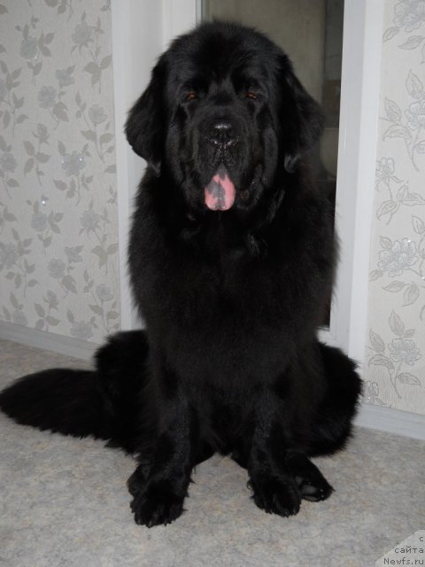 Фотография № 52588