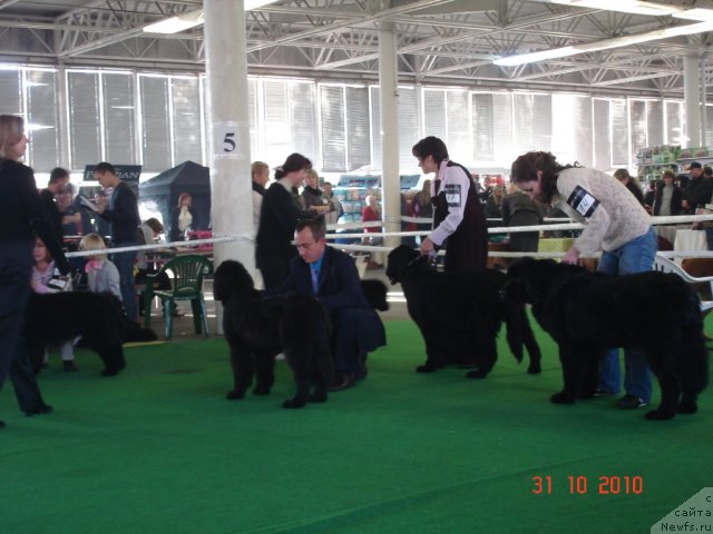 Фотография № 52631