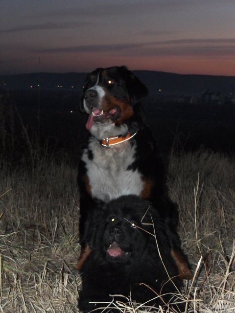 Фотография № 52634