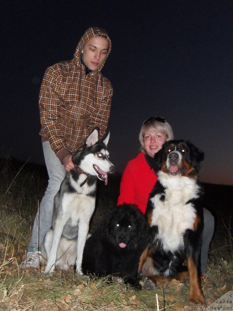 Фотография № 52635