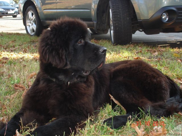 Фотография № 52641