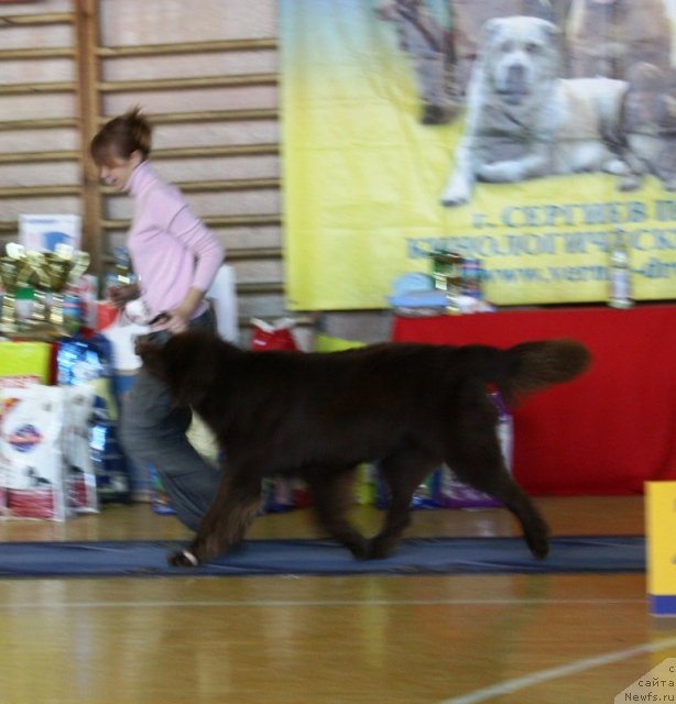 Фотография № 52644