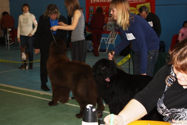 Фотография № 52645