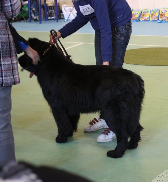 Фотография № 52647