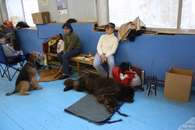 Фотография № 52650