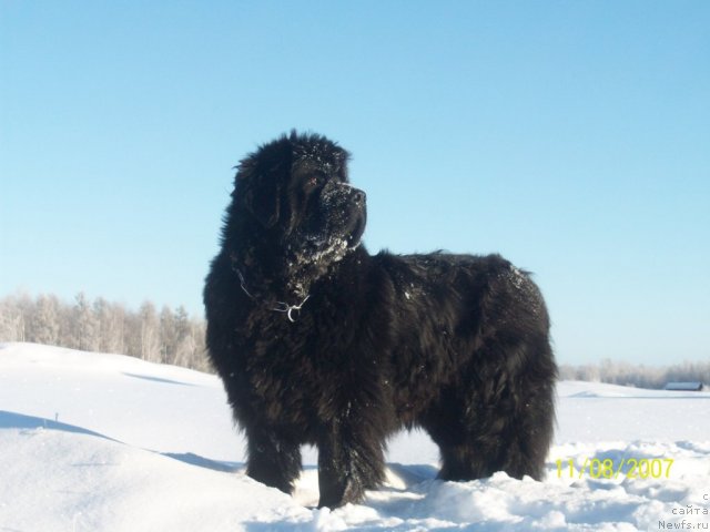 Фотография № 52800