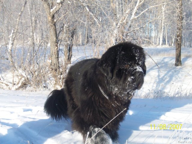 Фотография № 52805