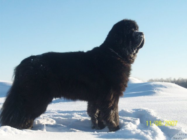 Фотография № 52808