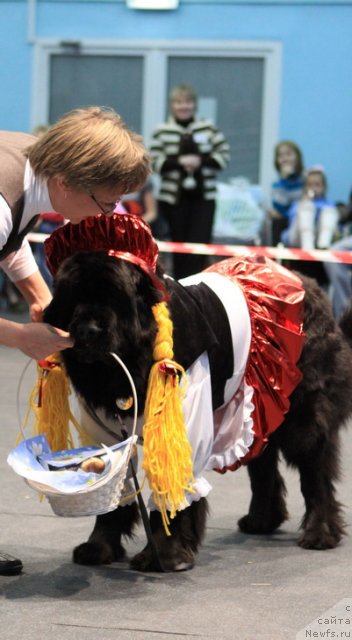 Фотография № 52821