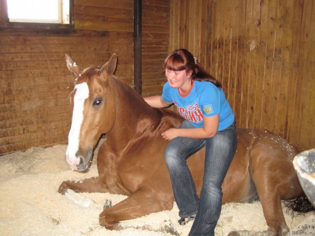 Фотография № 52849