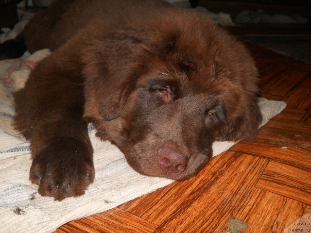 Фотография № 52855