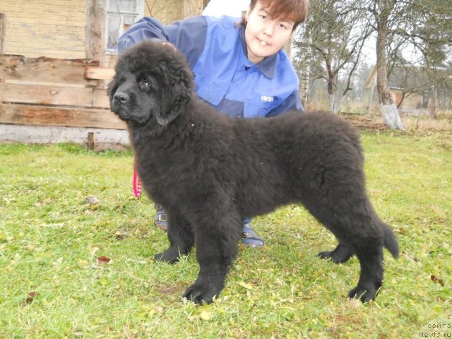 Фотография № 52857