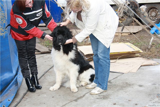 Фотография № 52888