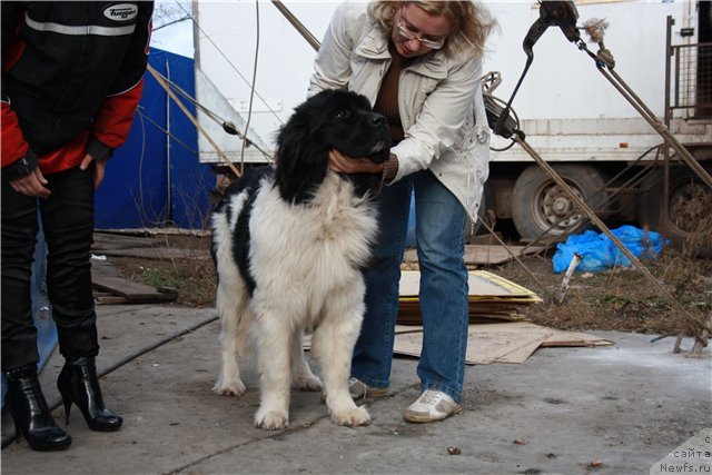 Фотография № 52889