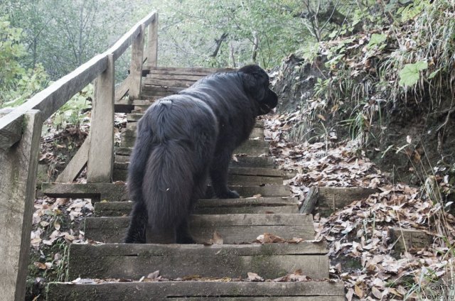 Фотография № 52938