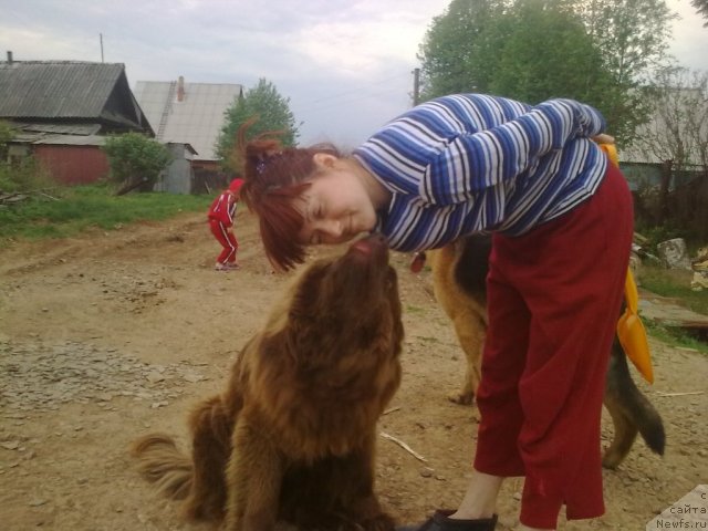 Фото: Irina Nistratova (Ирина Нистратова), Дан