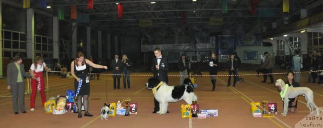 Фотография № 52954