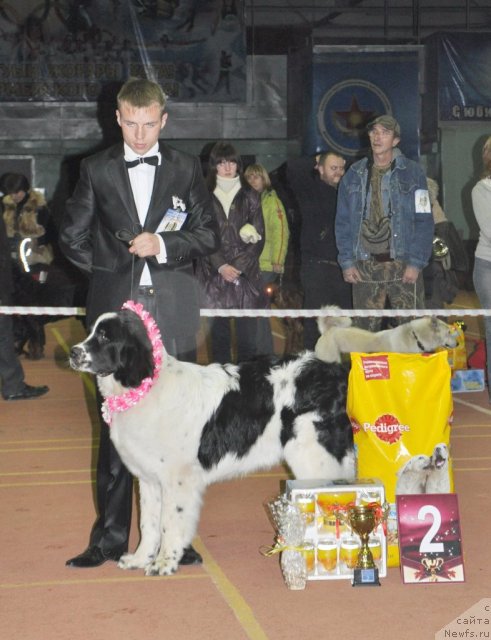 Фотография № 52957