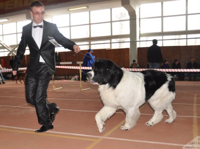 Фотография № 52959