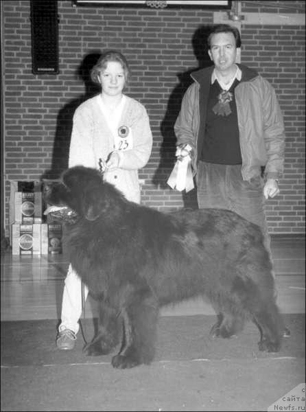 Фото: ньюфаундленд New-Fuur-Land's Block Buster